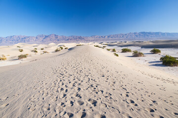 Footprints in the sand at Mesquite Flat Sand Dunes, Death Valley National Park, California