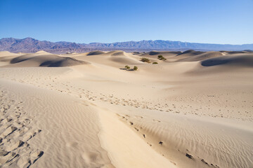 Footprints in the sand at Mesquite Flat Sand Dunes, Death Valley National Park, California