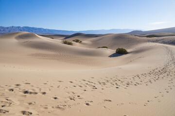 Footprints in the sand at Mesquite Flat Sand Dunes, Death Valley National Park, California