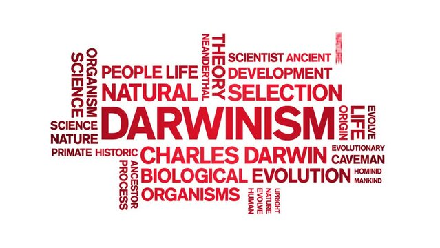 Darwinism animated tag word cloud;text design animation kinetic typography seamless loop.