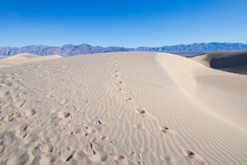 Footprints in the sand at the Mesquite Flat Sand Dunes, Death Valley National Park, California