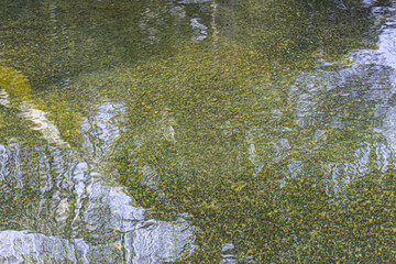 Reflection of trees in the water of a river. Abstract background