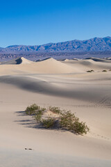 Mesquite Flat Sand Dunes, Death Valley National Park, California