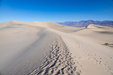 Footprints in the sand at the Mesquite Flat Sand Dunes, Death Valley National Park, California
