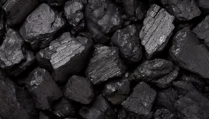 Deurstickers Brandhout textuur Black coal texture background. close up