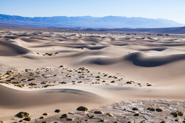 Fototapeta na wymiar Mesquite Flat Sand Dunes, Death Valley National Park, California