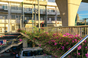 overhead walkway decorated with flowers Khlong San district 