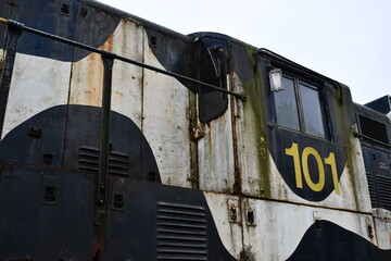 Black and white spots on old diesel locomotive. Number 101 painted in yellow on side under cab window.