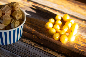 Yellow ground cherries from Quebec.