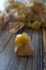 Yellow ground cherries from Quebec.