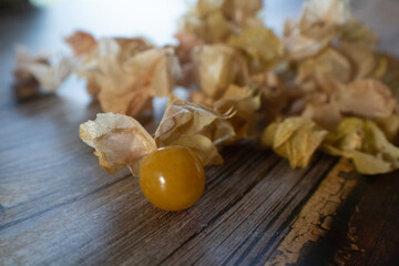 Yellow ground cherries from Quebec.