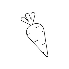 Carrot line drawing. Healthy vegetable. Vector illustration. EPS 10.