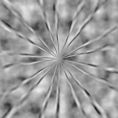 seamless close up of dandelion seeds