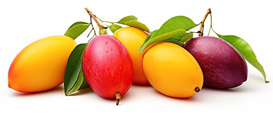 A variety of tropical Thai fruits including Maprang, Marian plum, Gandaria, and Plum mango are displayed together on a white background. Each fruit is accompanied by vibrant green leaves, creating a - obrazy, fototapety, plakaty