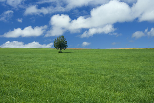 爽やかな夏の青空と草原