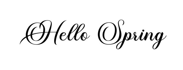 Hello Spring – Simple text banner with beautiful calligraphy for spring sale announcements - obrazy, fototapety, plakaty