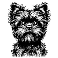 Affenpinscher dog pet portrait in line art or stencil art vector illustration 