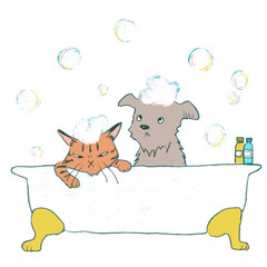 お風呂に入る犬と猫