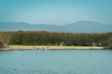 lake in the mountains
