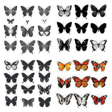 Set of butterfly icons on transparent background.