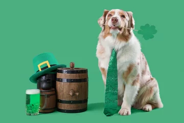 Foto op Plexiglas Australian Shepherd dog with paper clover and beer on green background. St. Patrick's Day celebration © Pixel-Shot