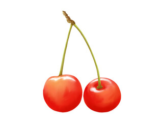 2個の赤いサクランボのリアルな水彩イラスト