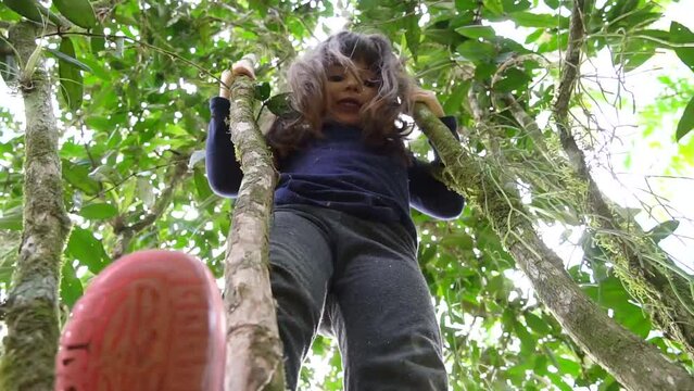 Menina, tr&ecirc;s anos, se divertindo ao ar livre escalando uma pequena  &aacute;rvore.