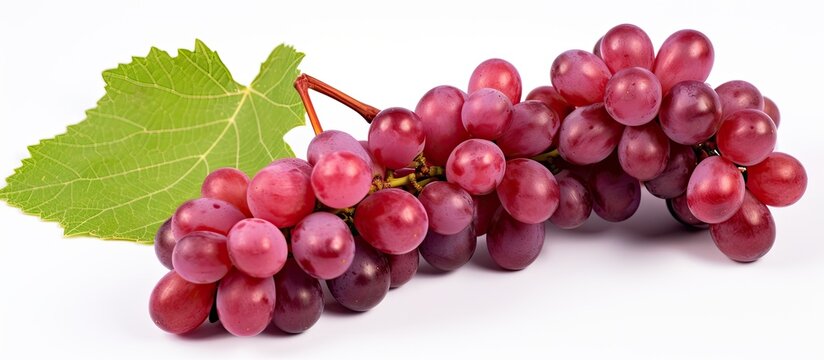 A single branch of red grapes with a leaf sits atop a clean white backdrop. The cluster of grapes appears fresh and ripe, with a vibrant green leaf adding a touch of natural contrast.