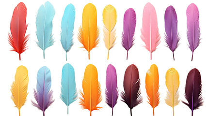 A series of striking feathers displayed without branding, highlighting their natural beauty and vivid colors.