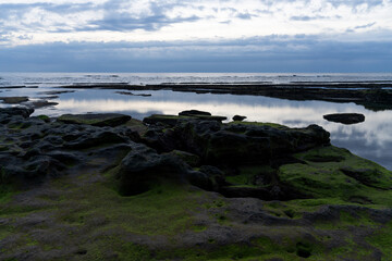 View of the moss-covered beach