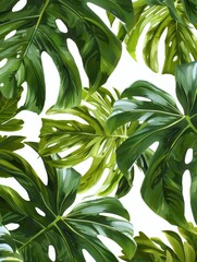 Close Up of a Large Green Leafy Plant. Printable Wall Art.