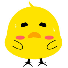 Yellow cute chick