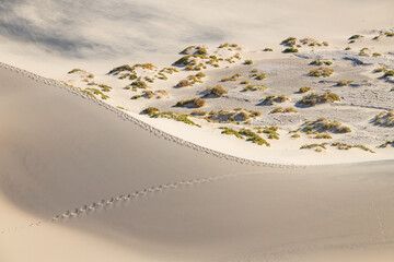 Mesquite Flat Sand Dunes, Death Valley National Park, California