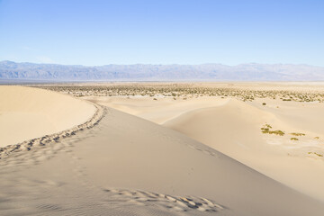 Footprints in the sand at the Mesquite Flat Sand Dunes, Death Valley National Park, California