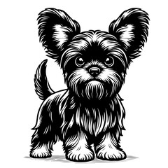 affenpinscher dog pet portrait in line art or stencil art, isolated on white background