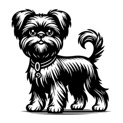 affenpinscher dog pet portrait in line art or stencil art, isolated on white background