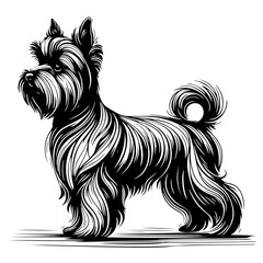 affenpinscher dog pet portrait in line art or stencil art, isolated on white background