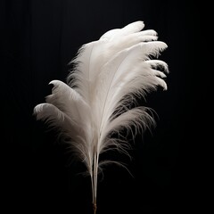 illustration of a plume of 6 white ostrich feathers, Generative ai
