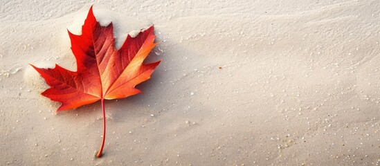 A single vibrant red maple leaf rests on the white snow, contrasting beautifully against the cold backdrop. The leaf has fallen gracefully onto the snowy ground, creating a striking image of nature in - Powered by Adobe