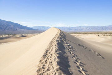 Footprints in the sand at the Mesquite Flat Sand Dunes, Death Valley National Park, California