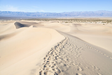Footprints in the sand at the Mesquite Flat Sand Dunes, Death Valley National Park, California