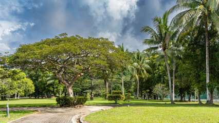 A paved footpath winds through the tropical park. Bushes, deciduous trees, tall coconut palms grow...