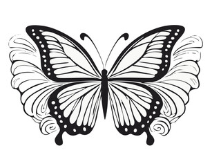 Hand drawn butterfly stencil element