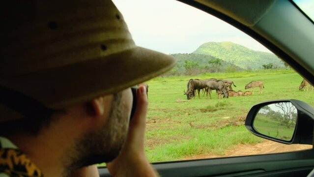 A male tourist wearing a safari hat takes pictures of animals in a savannah in Africa. a male traveler sits in a safari vehicle and takes a photo of wild animals in a national reserve