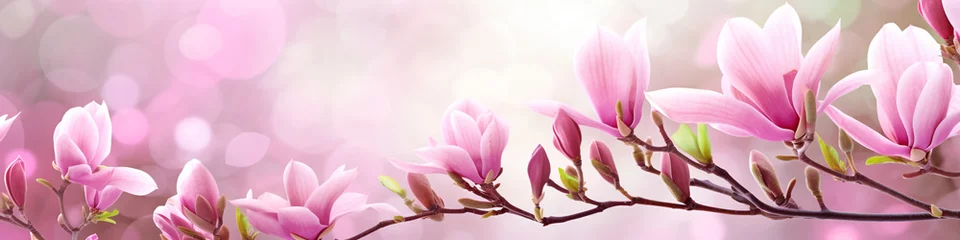 Gordijnen Pink magnolia flowers in a meadow © FATHOM