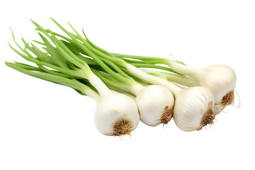 Allium Sativum Plant Isolated On Transparent Background