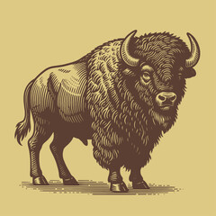 Full-length bison vector sketch. Engraving line art Isolated on white background. © Vector Deluxe Studio