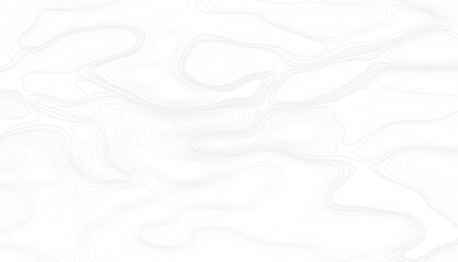 Background of the topographic map. Topographic map lines, contour background. Map on land vector terrain Illustration.