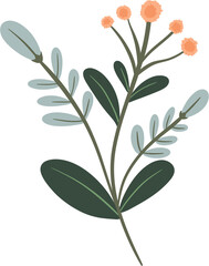 Spring flowers in forest