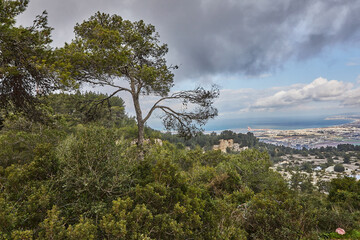 Obraz na płótnie Canvas Breathtaking panoramic view of haifa from mount carmel, including sea port and residential areas